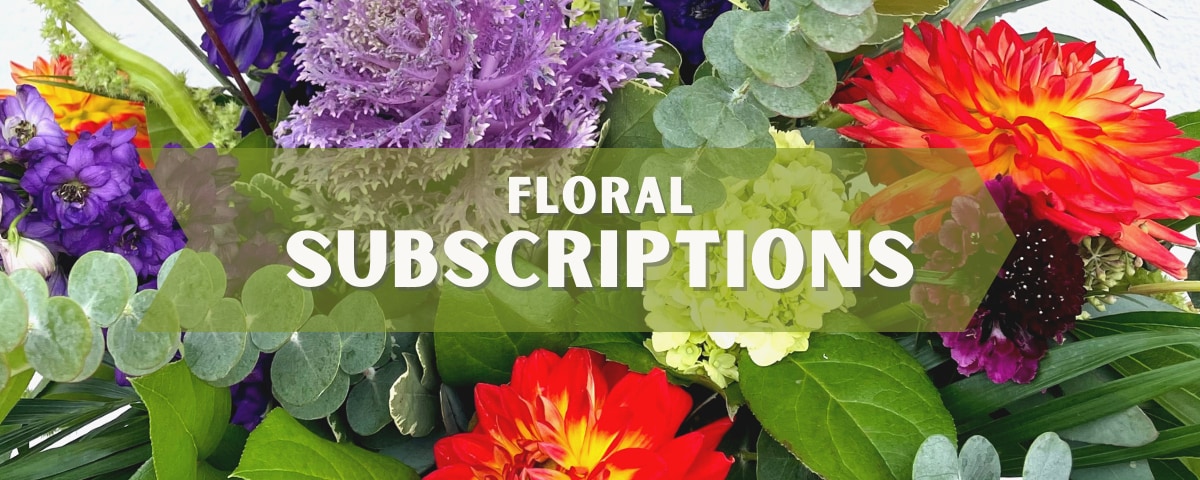 Floral Subscriptions, Get Started >